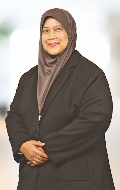 NIK FAERUZ BINTI TAN SRI NIK HUSSAIN